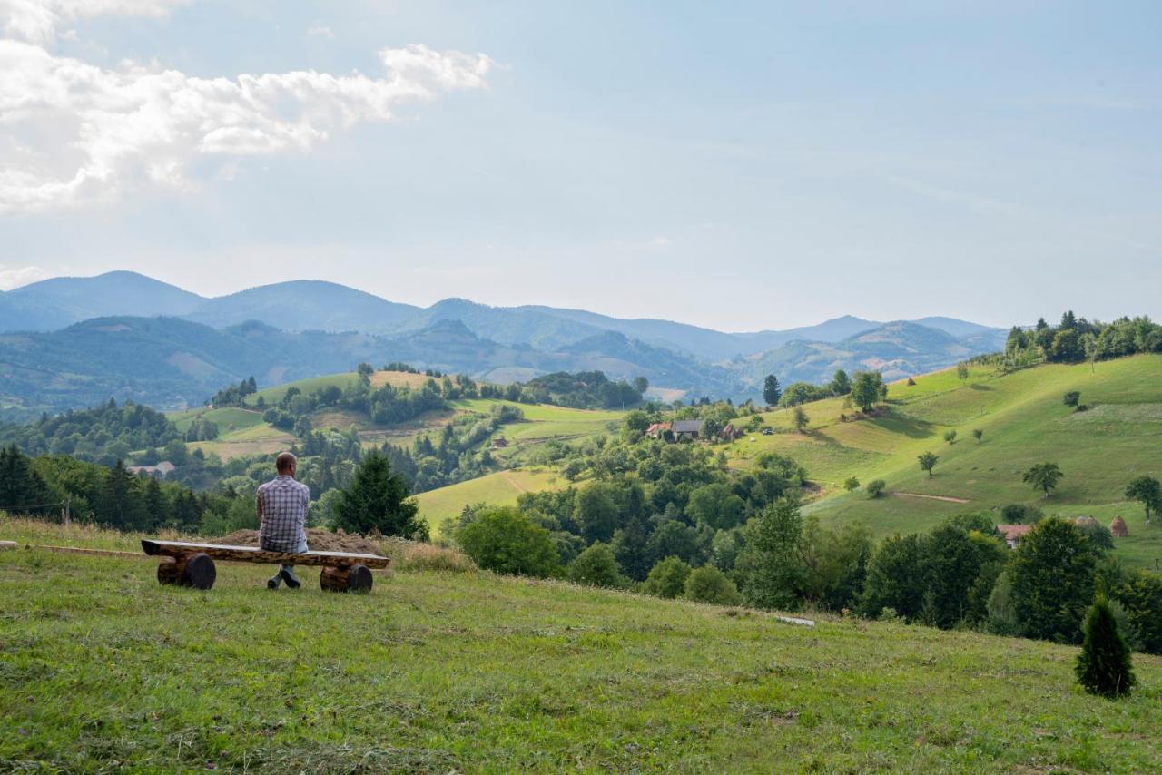 My Little Village Poiana Mărului エクステリア 写真