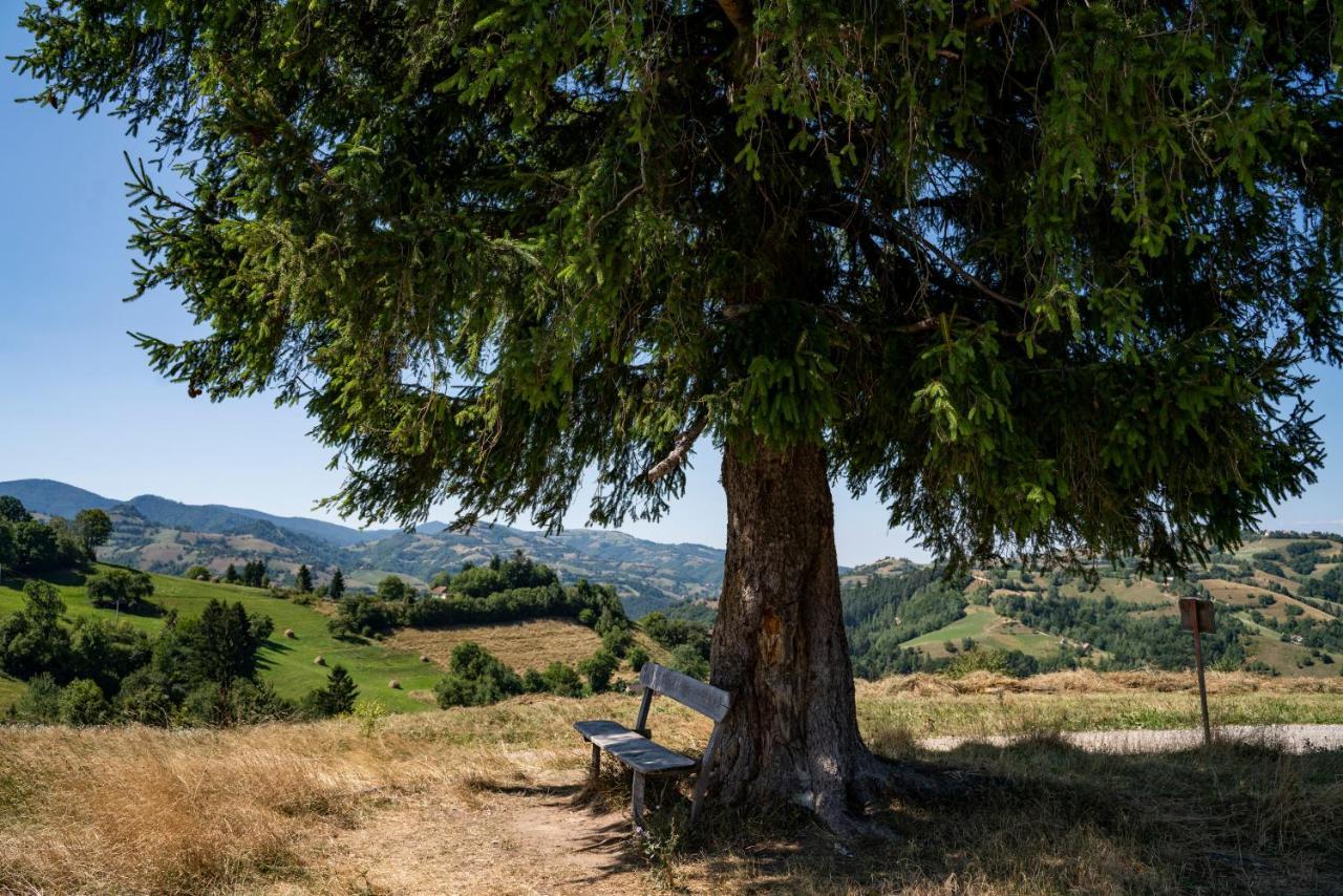 My Little Village Poiana Mărului エクステリア 写真