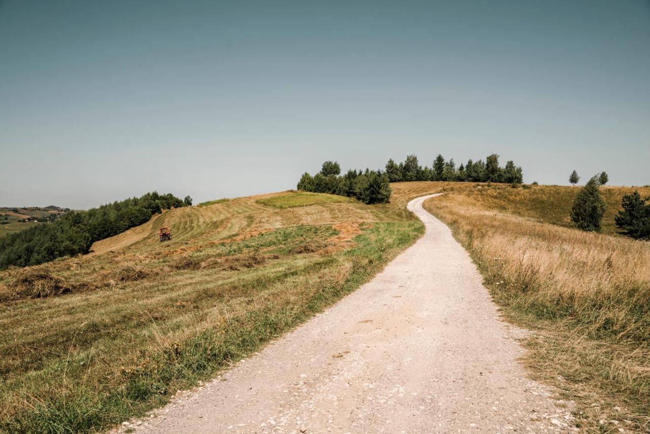 My Little Village Poiana Mărului エクステリア 写真