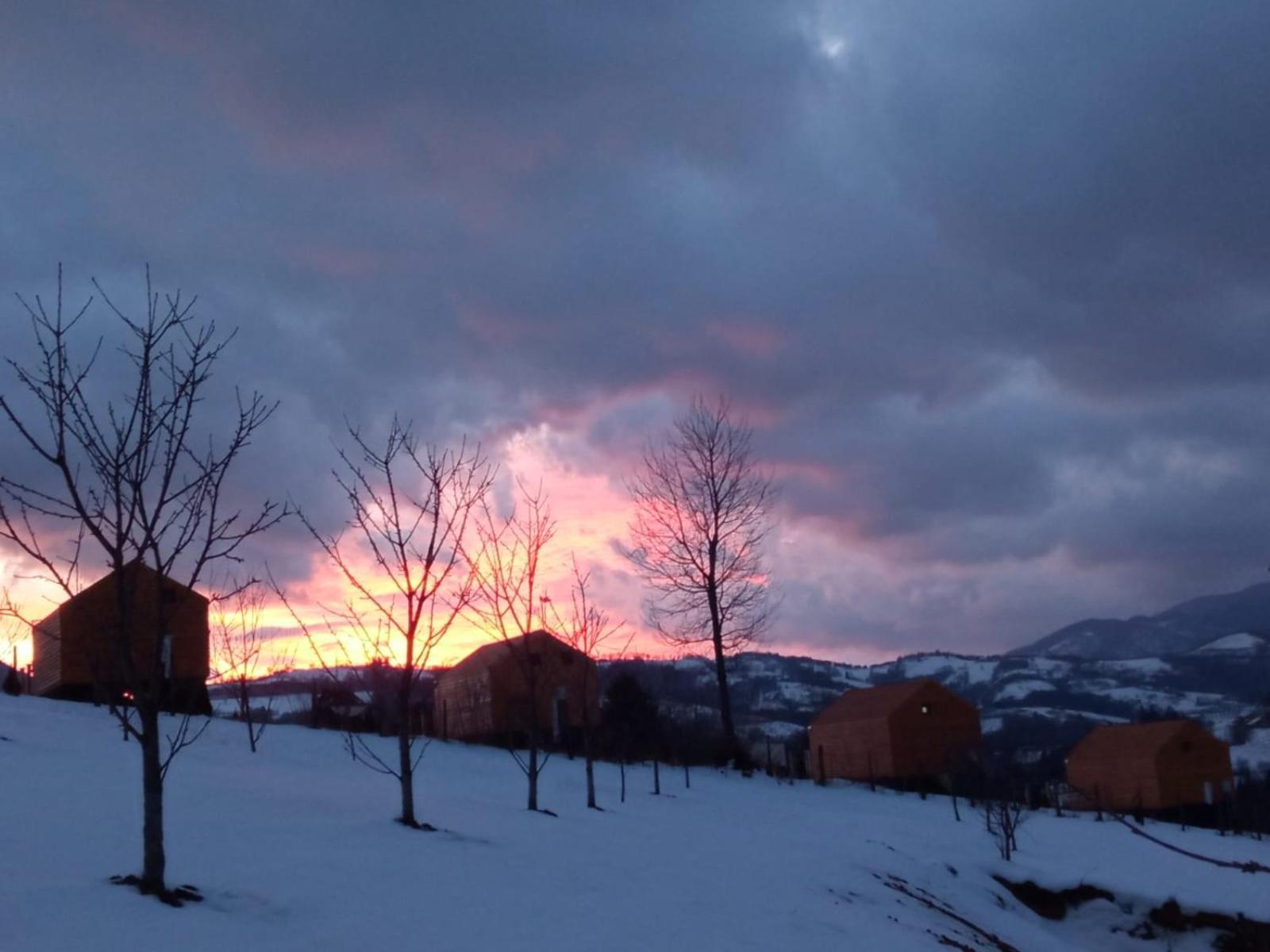 My Little Village Poiana Mărului エクステリア 写真