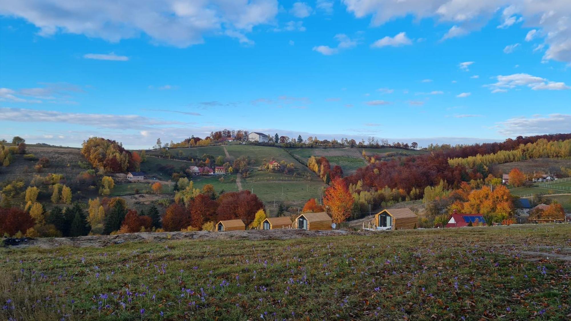 My Little Village Poiana Mărului エクステリア 写真