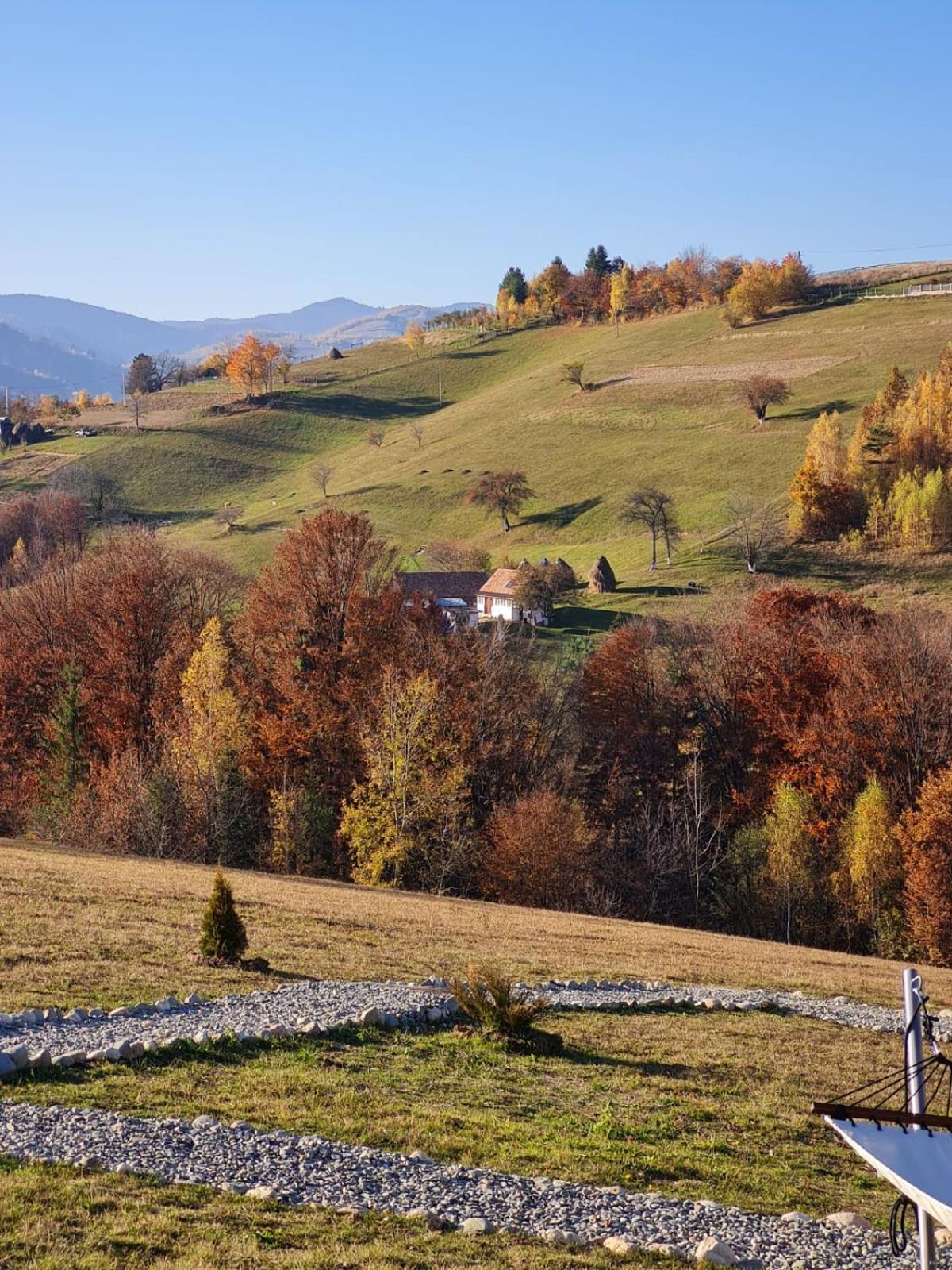 My Little Village Poiana Mărului エクステリア 写真