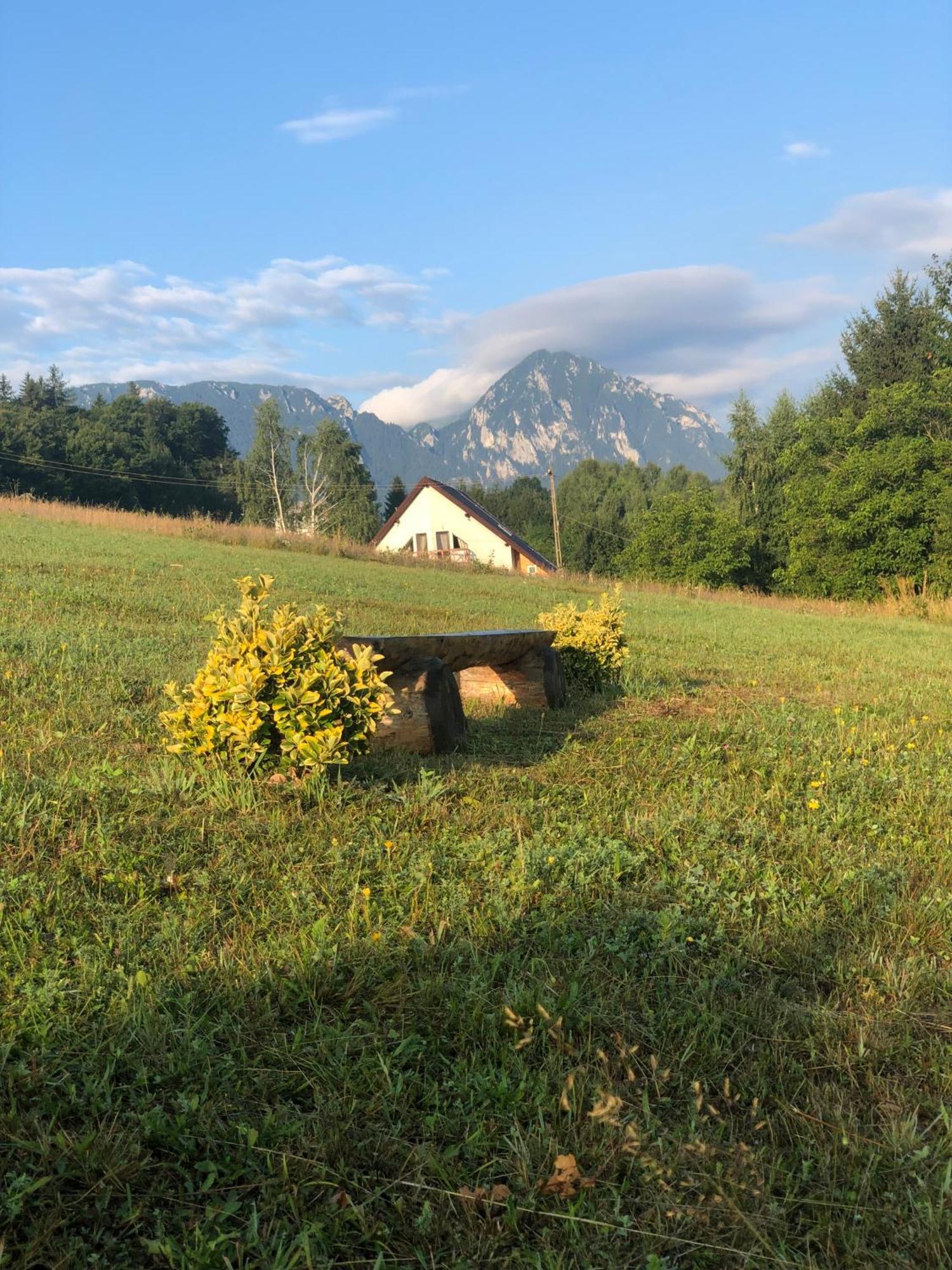 My Little Village Poiana Mărului エクステリア 写真